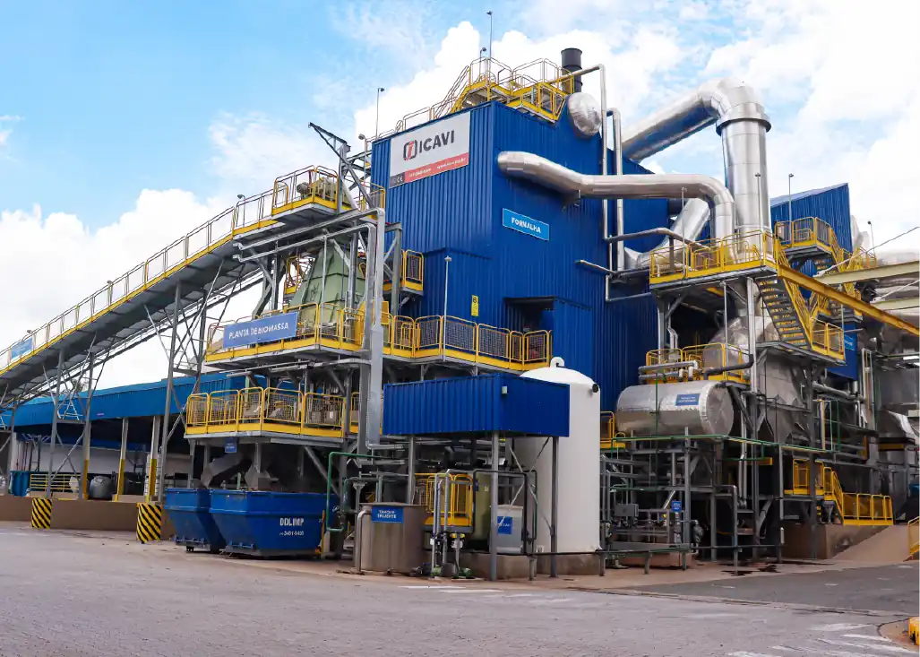 Biomass plant